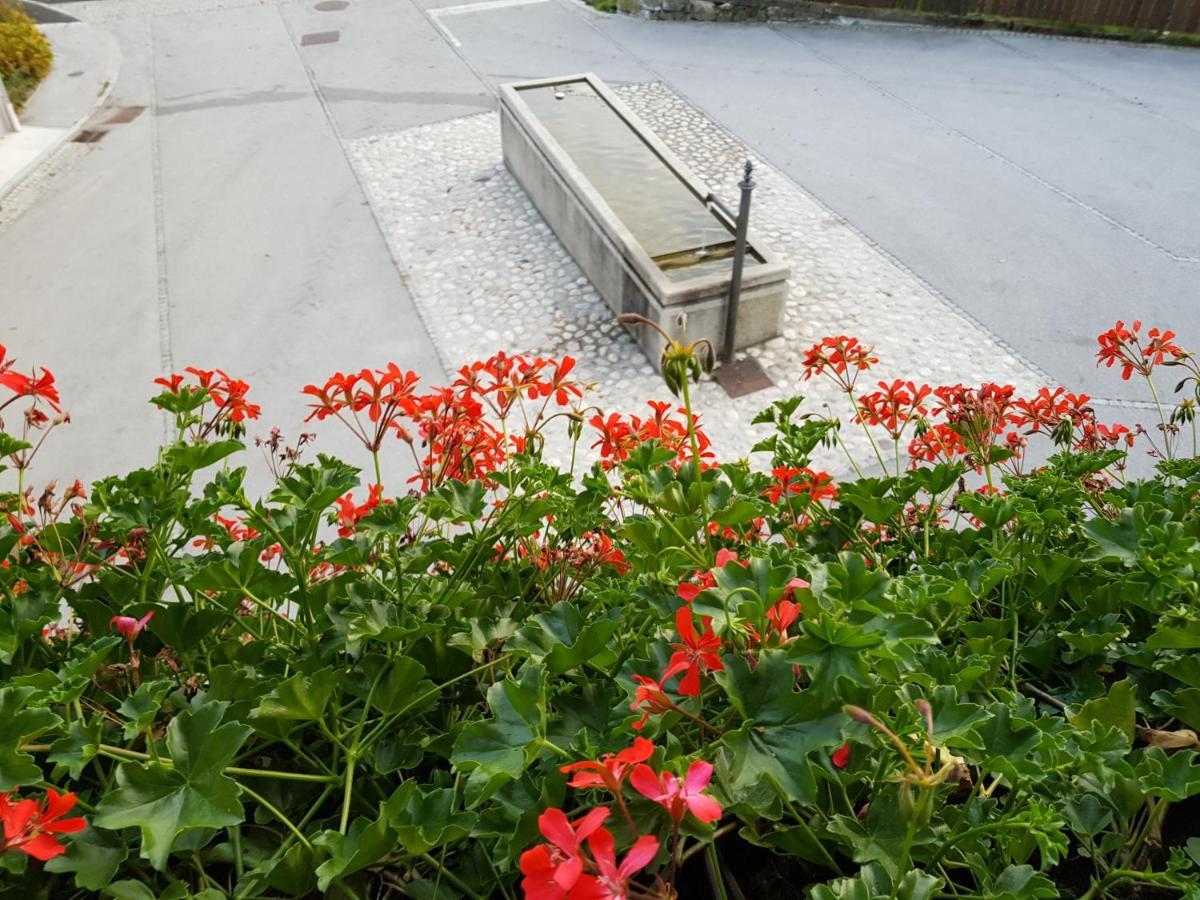 Apartments Gregorc Bled Dış mekan fotoğraf