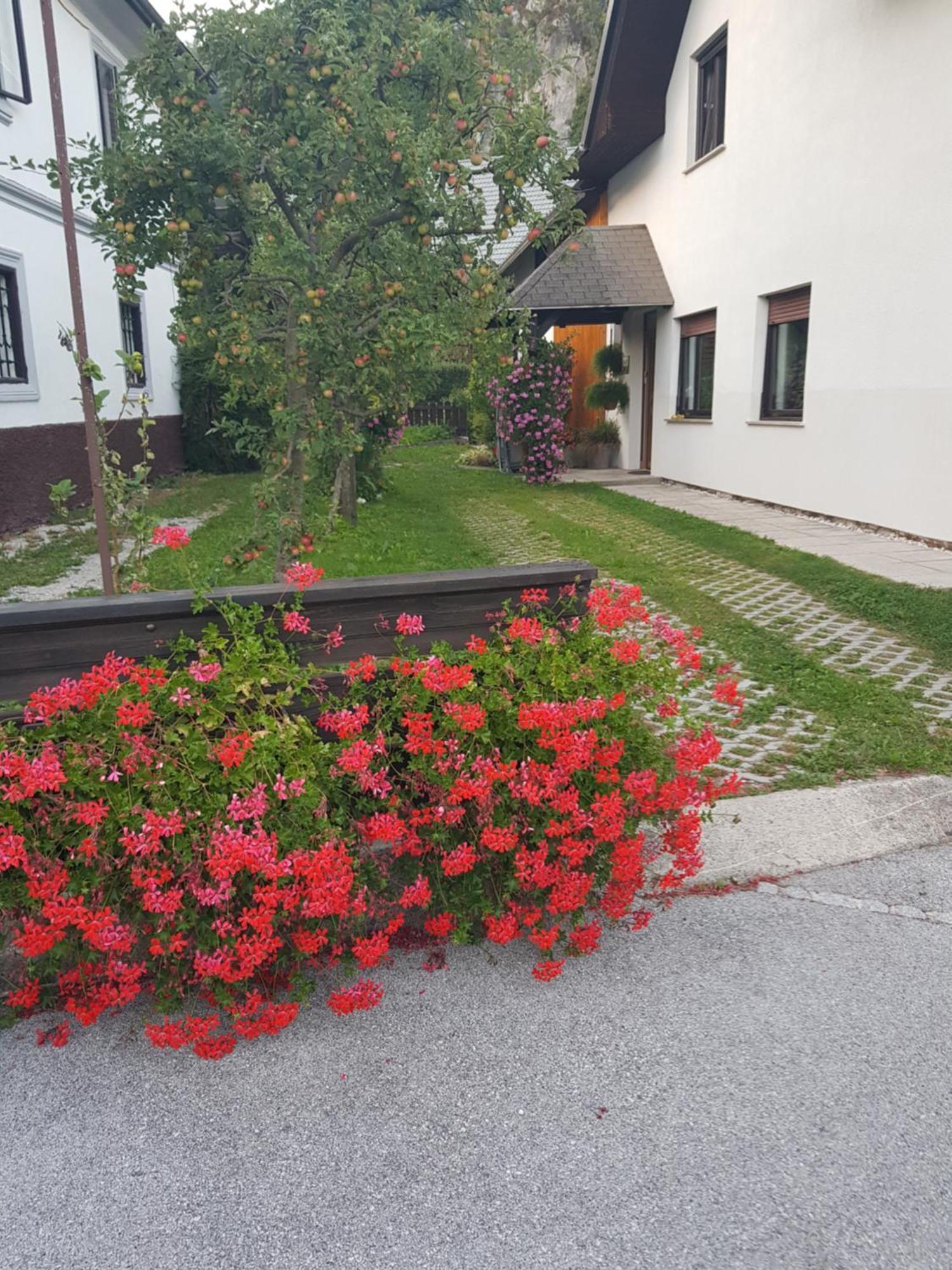 Apartments Gregorc Bled Dış mekan fotoğraf